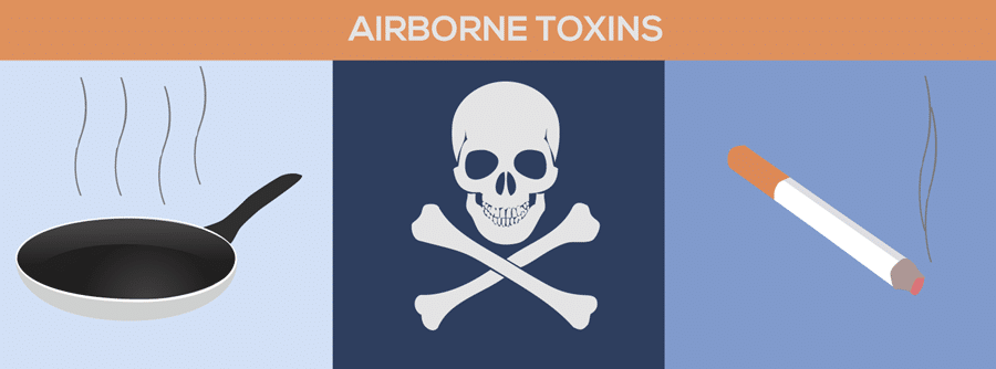 The Airborne Toxins You Breathe Everyday